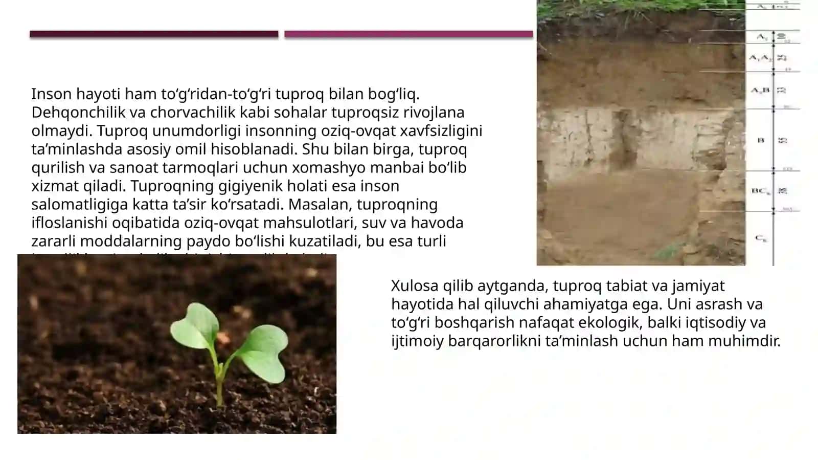Tuproqning sanitar-vaepldemiologikahamiyati 4