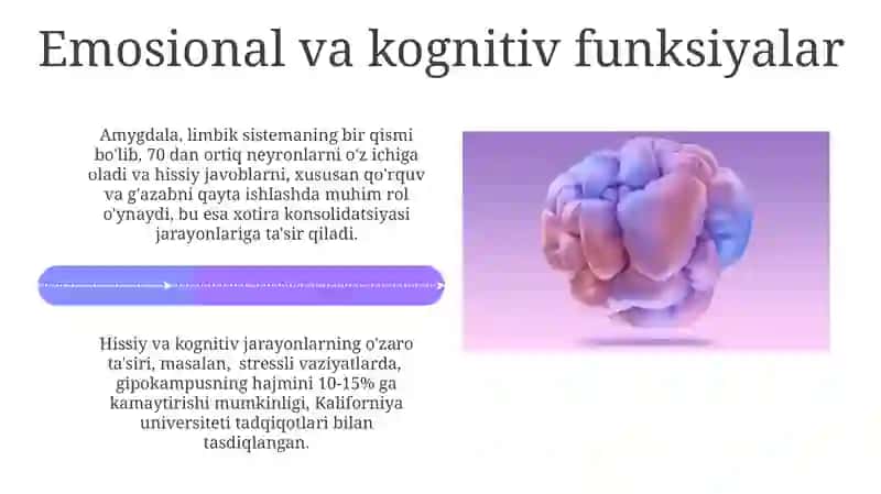 Neyronlar va sinaptik uzatish 4