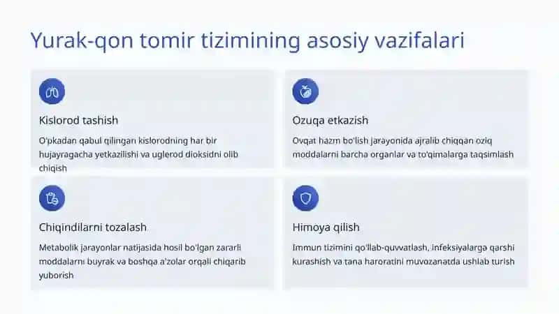 Yurak-qon tomir tizimi 4