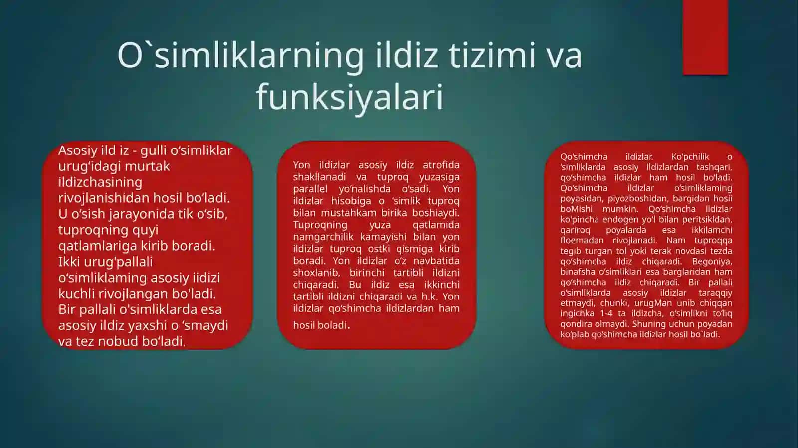 O`simliklarning ildiz tizimi: tiplari,tuzilishi va funksiyalari 4