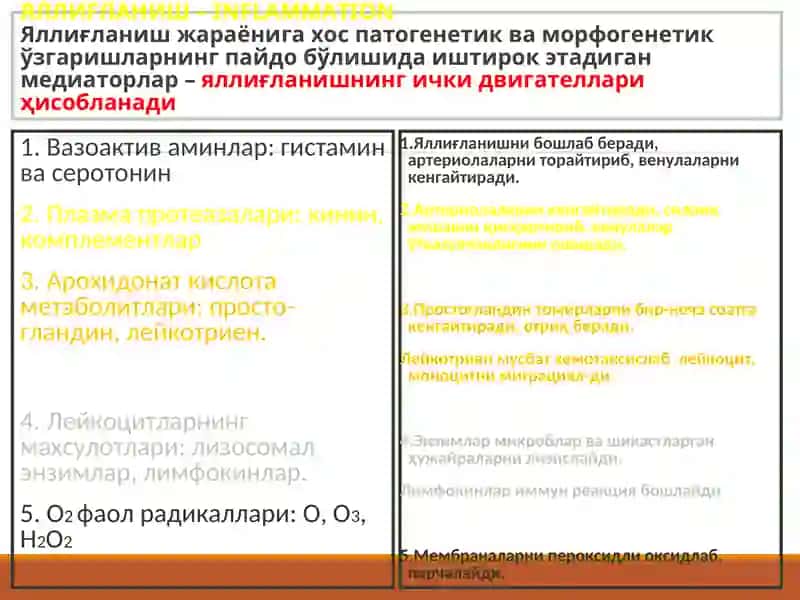 “Яллиғланиш” 4