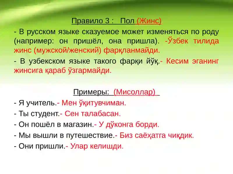 Согласование подлежащего и сказуемого 4
