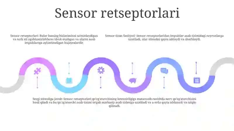 Sensor Tizimlar Faoliyatining Biokimyoviy Asoslari 4