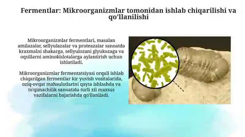 Mikroorganizmlarning hayot faoliyatida ishlab chiqaradigan mahsulotlari 4