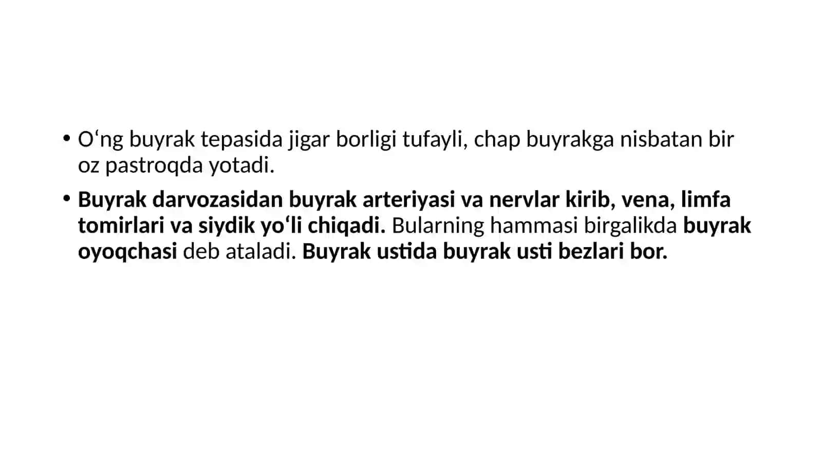 1 buyraklaranatomiyasi 4