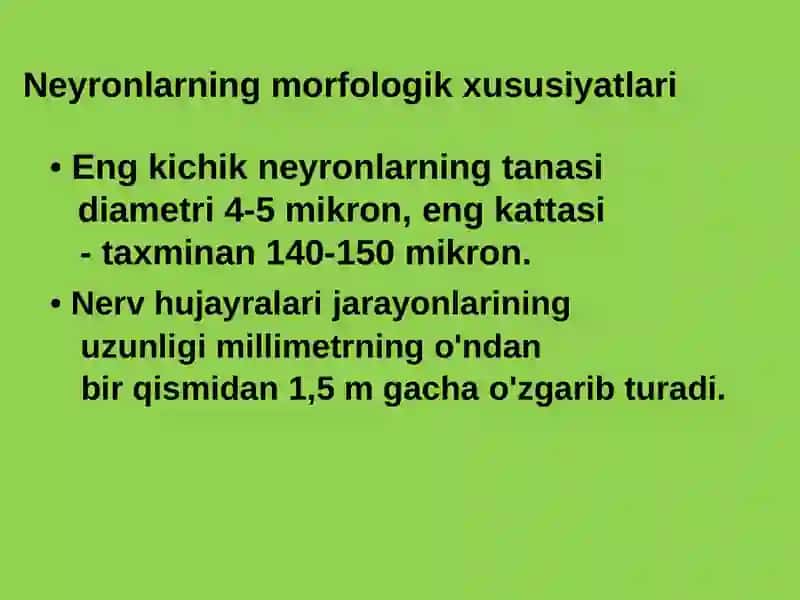 FIZIOLOGIYA FANIDAN BAJARGAN MUSTAQIL ISHI 4