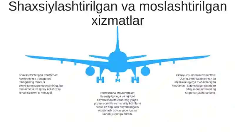 Turistlarga Havo Transporti Da Xizmat Ko'Rsatish 4