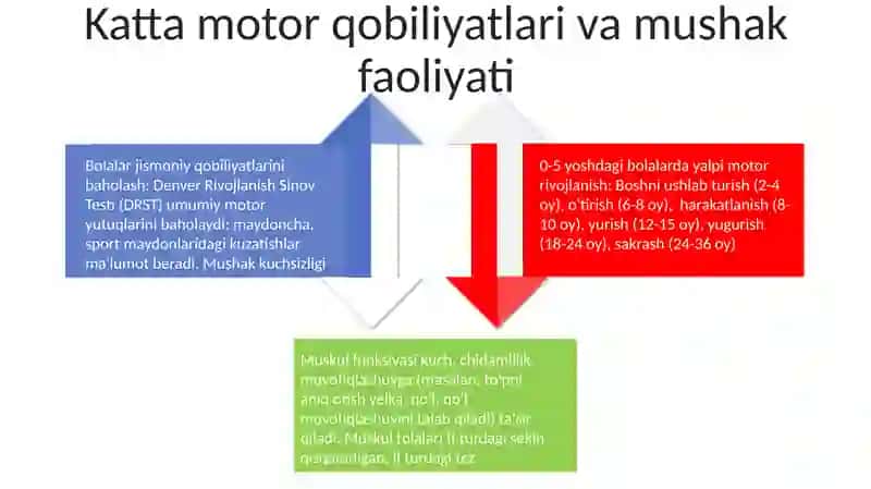 Muskullar faoliyati va bolalarning jismoniy imkoniyatlari 4