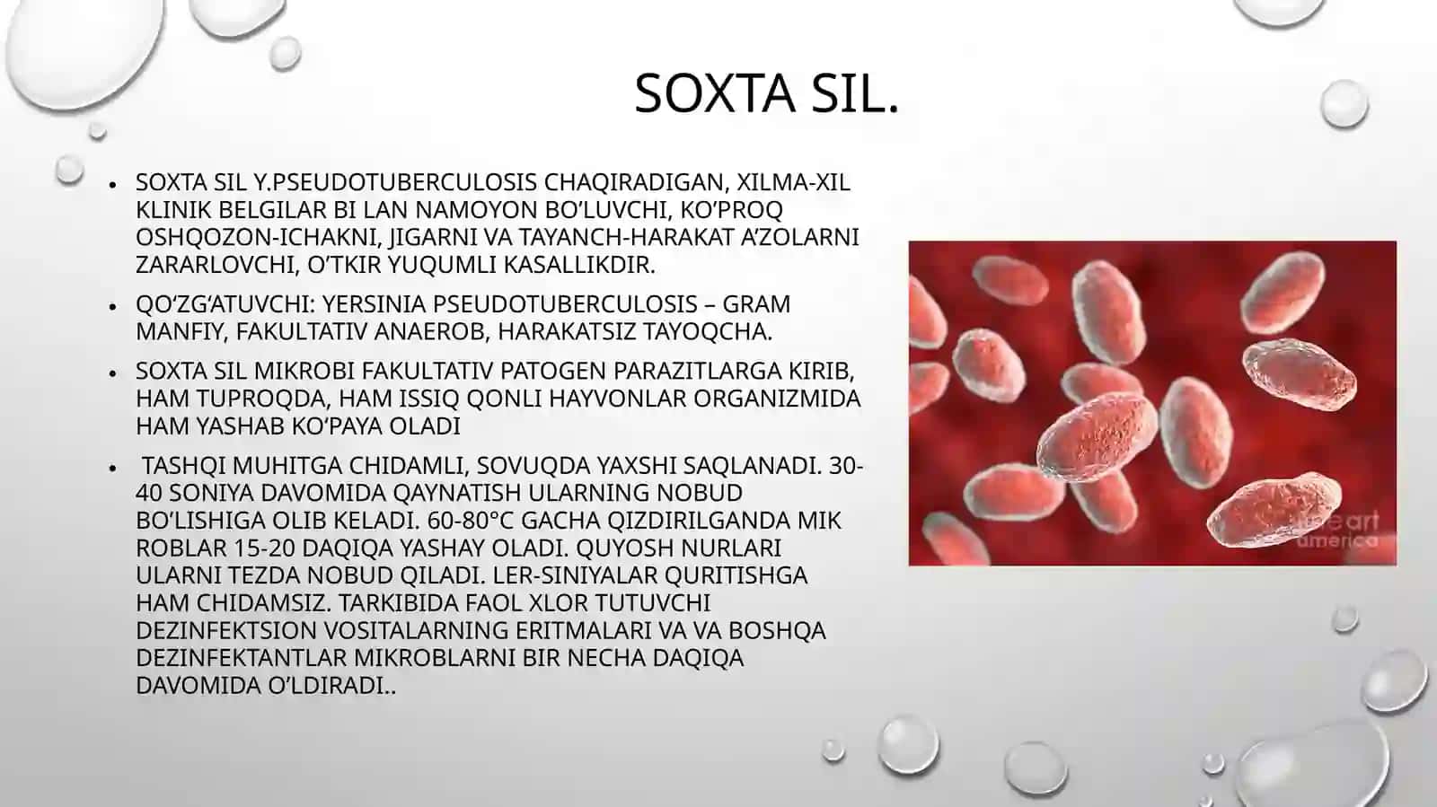 Sapronozkasalliklar. Ichakiersinozlari. Soxta sil. Kasallikni kelib chiqishi, profilaktikasi va epidemiyaga qarshi chora tadbirlarni tashkillashtirish.Bezgakkasalligi 4