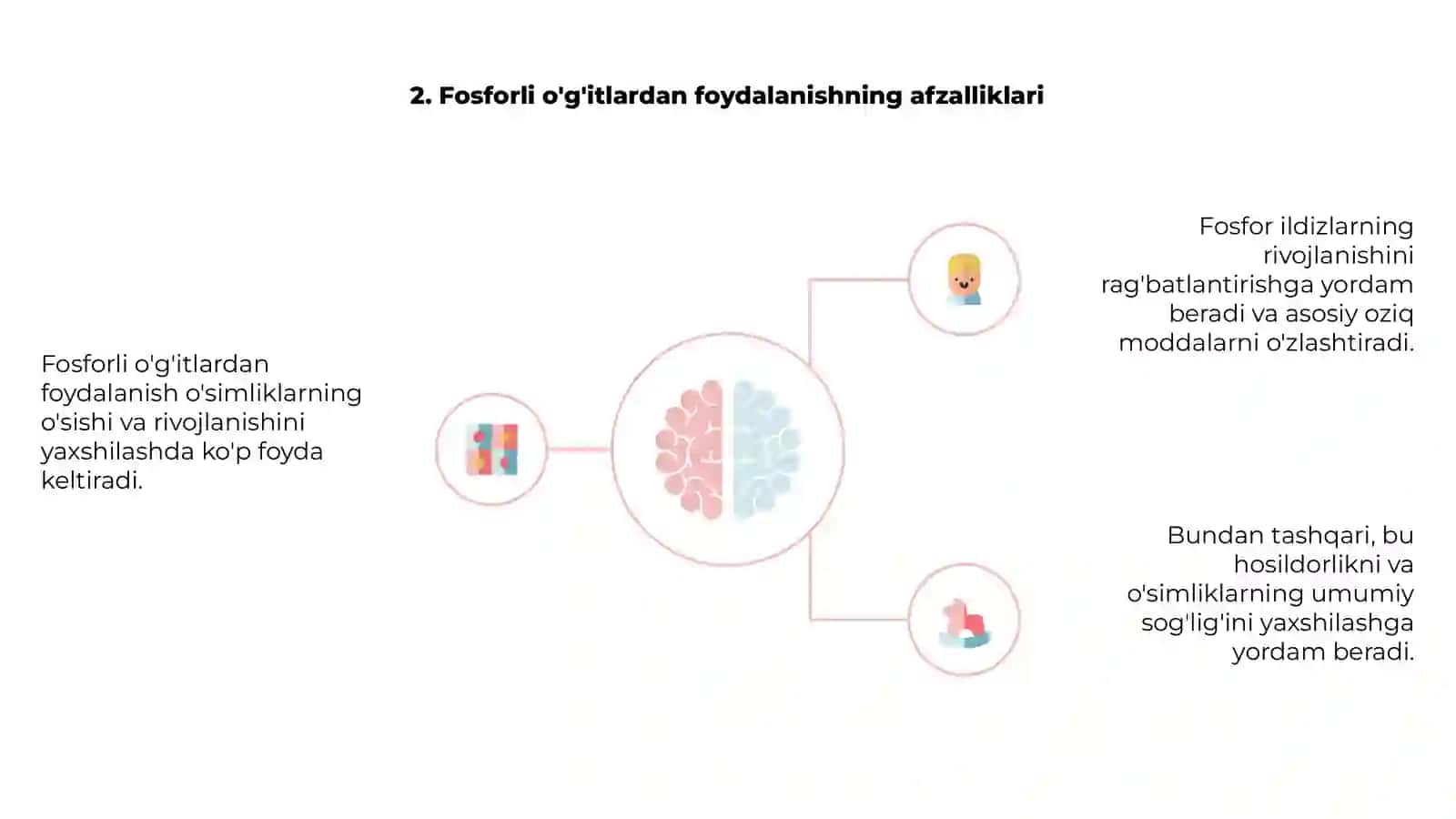 Fosforli oʻgʻitlarning eng muhim xususiyatlari 4