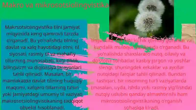 Sotsiolingvistika fanidan tayyorlagan mustaqil ish 4