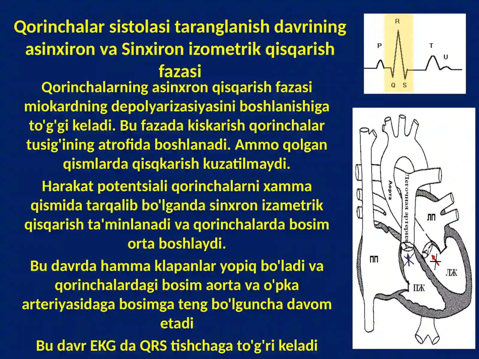 YURAK NASOS FAOLIYATINING FIZIOLOGIYASI 4