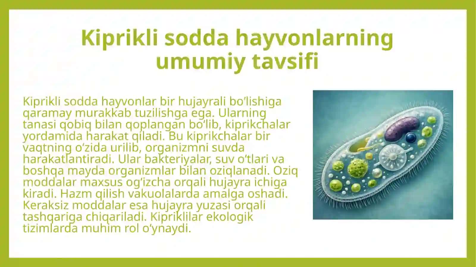 Kiprikli sodda hayvonlar (Ciliophora). Uniconta subdomeni klassifikatsiyasi. 4