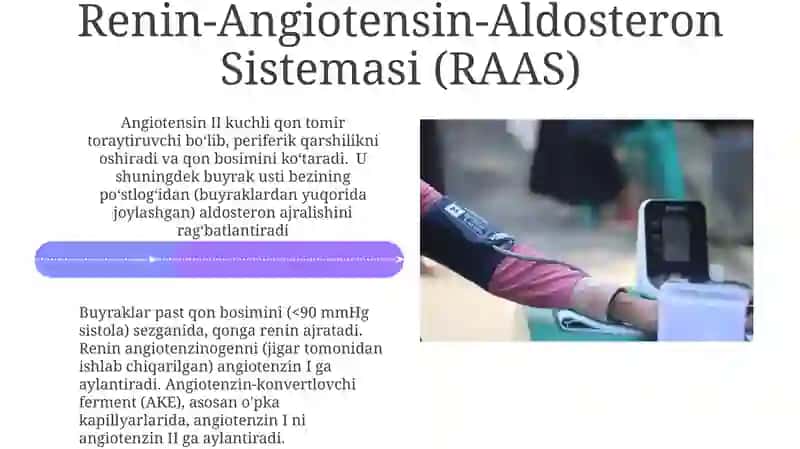 Arterial bosimning boshqariluvida buyraklarning roli 4