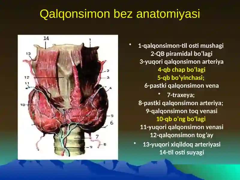 Gipotireoz 4