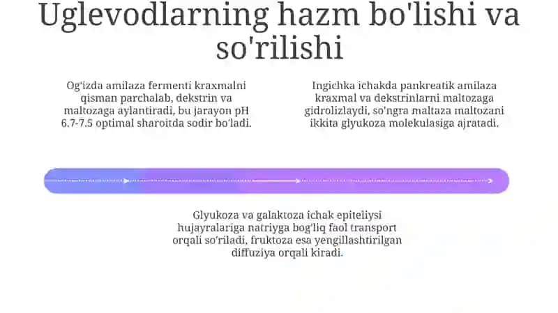 Uglevodlar metabolizmi: Asosiy jarayonlar 4