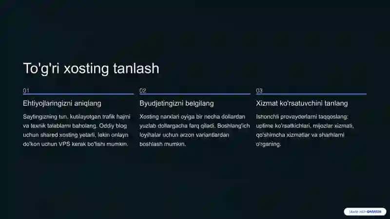 Internet Xostlari 4