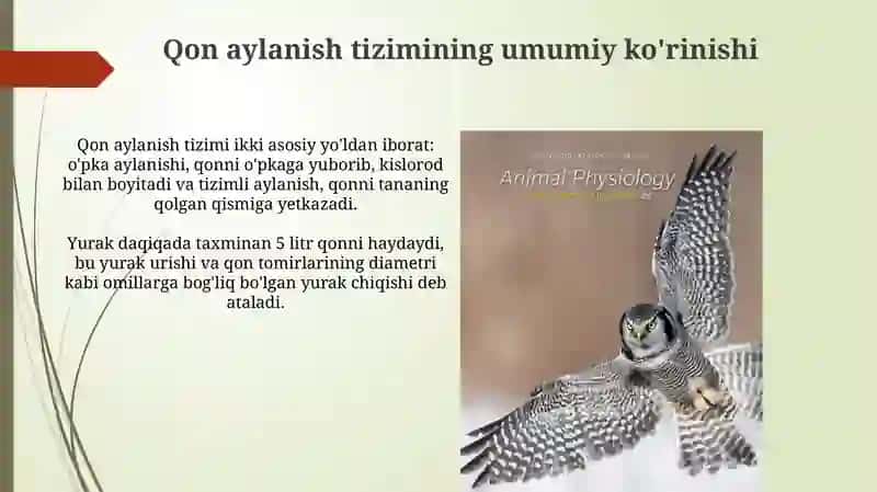 Fizologiya faniga kirish qon aylanish tizmining fizalogik asoslari 4