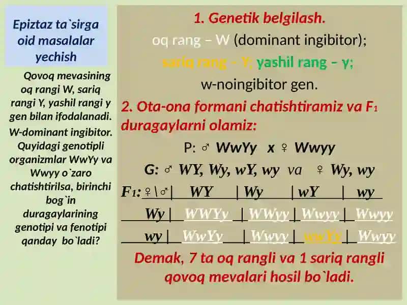 Epiztaz ta`sirga oid masalalar yechish 4