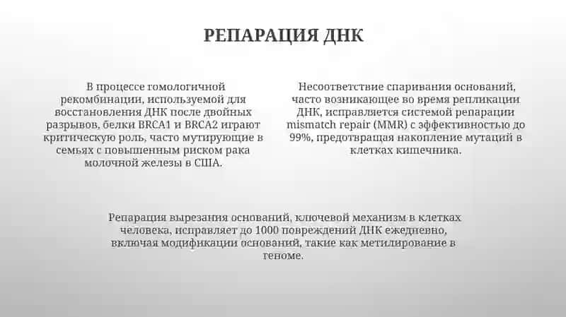 Молекулярные основы наследственности. Строение ДНК. Репликация ДНК. Репарация. Сатторова Жасмина 4