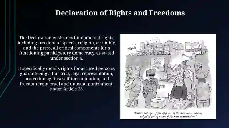New constitution 4