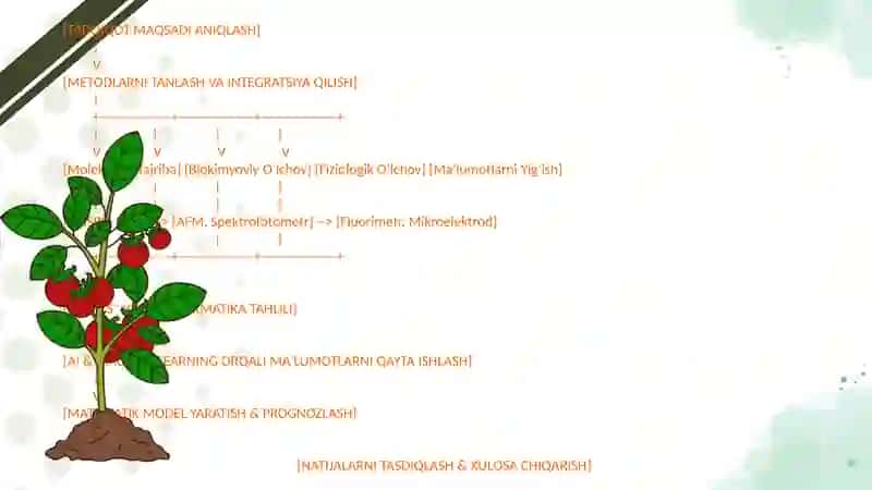 Oʻsimliklar fiziologiyasi yuzasidan chet el ilmiy tadqiqotlar va ular haqida ilmiy maqolalarni tahli 4