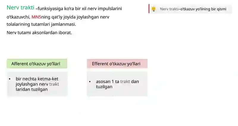 O’tkazuv yo’llari 4