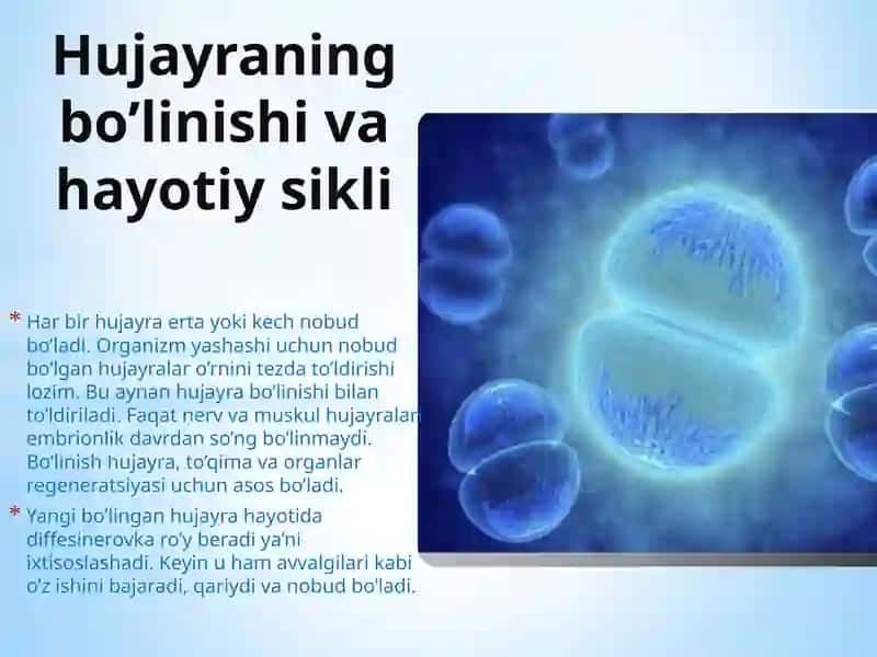 Tibbiy Biologiya fanidan mustaqil ishi 4