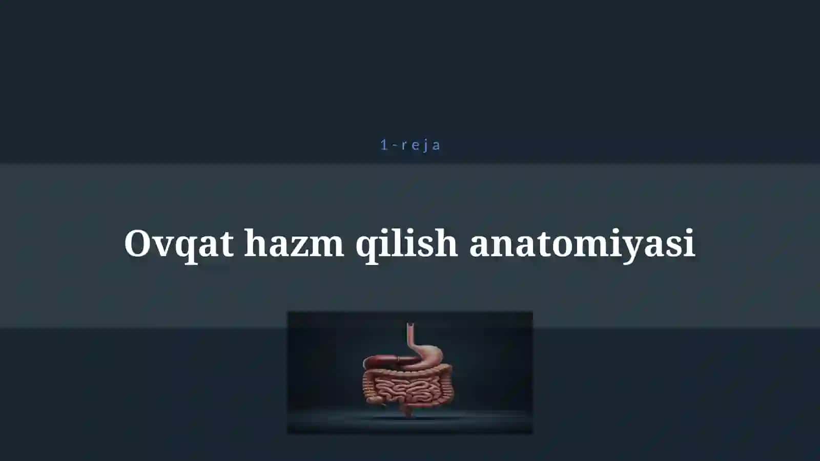 OVQAT HAZM QILISH 4