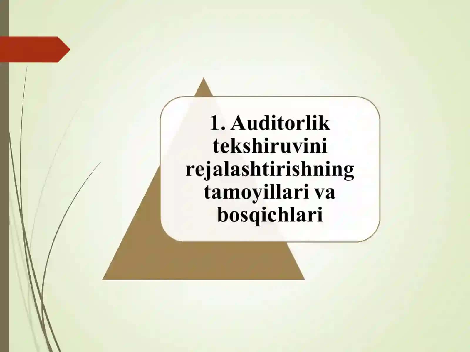 AUDITORLIK TEKSHIRUVINI REJALASHTIRISH 4