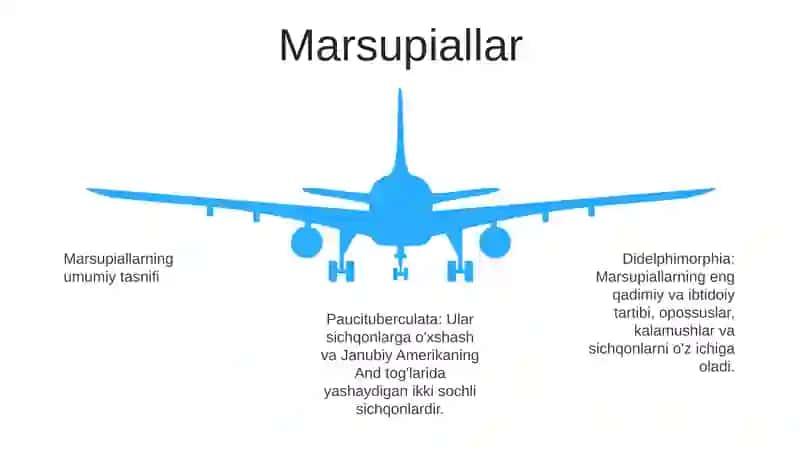 Sutemizuvchilarning Umumiy Tasnifi 4