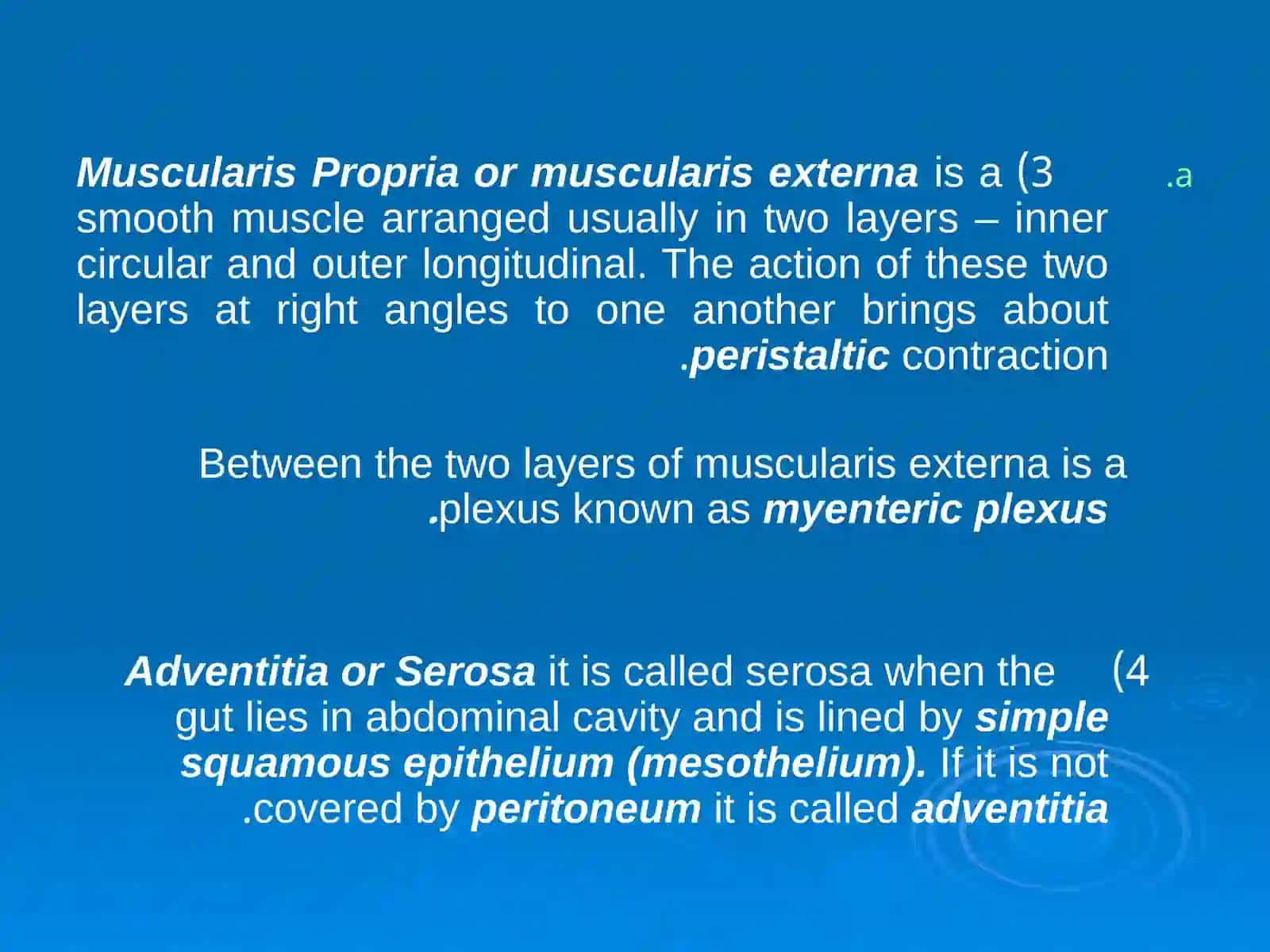 HISTOLOGY OF THE DIGESTIVE SYSTEM 4