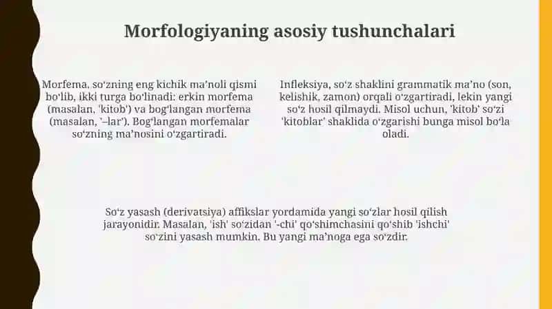 Morfologiyavauningboʻlimlari 4