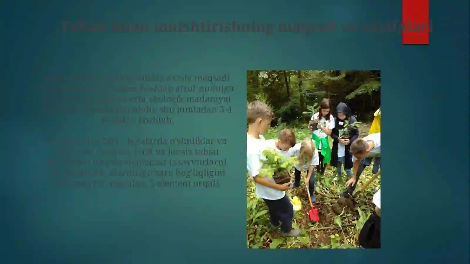Ilk qadam davlat dasturida tabiat bilan tanishtirish mazmuni 4