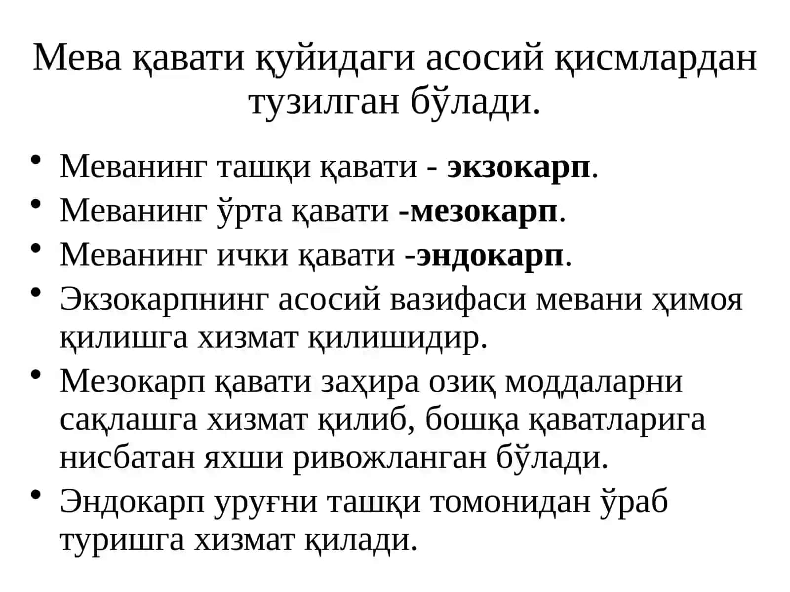 МЕВА, УРУҒ ТУЗИЛИШИ, ТИПЛАРИВА КЛАССИФИКАЦИЯСИ 4