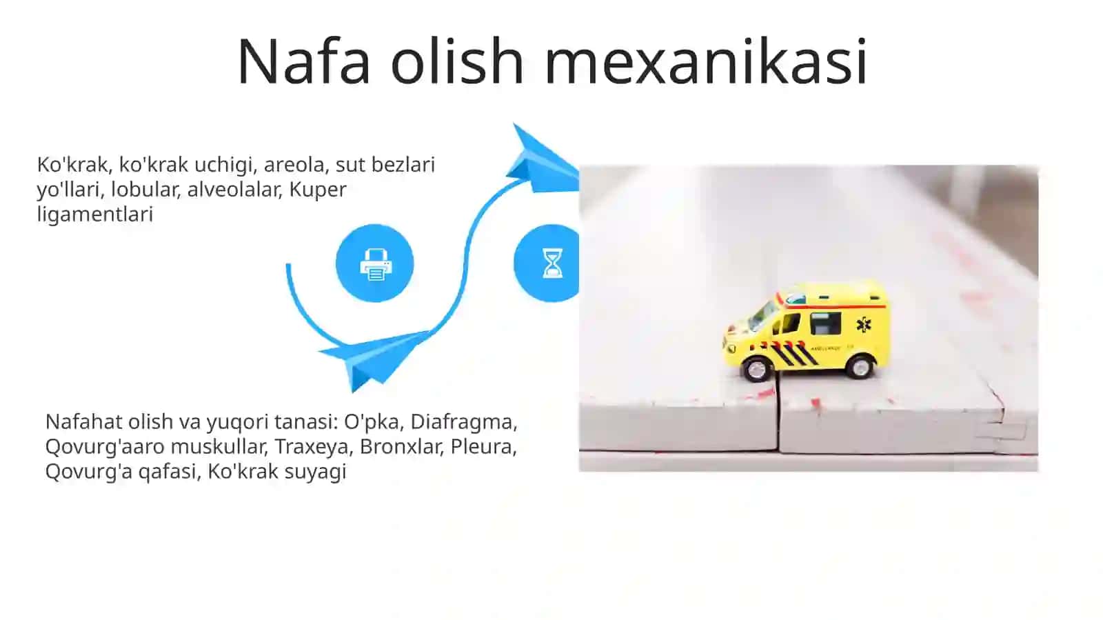 Nafas olish va yuqori qismga tegishli terminlarni tuzish 4