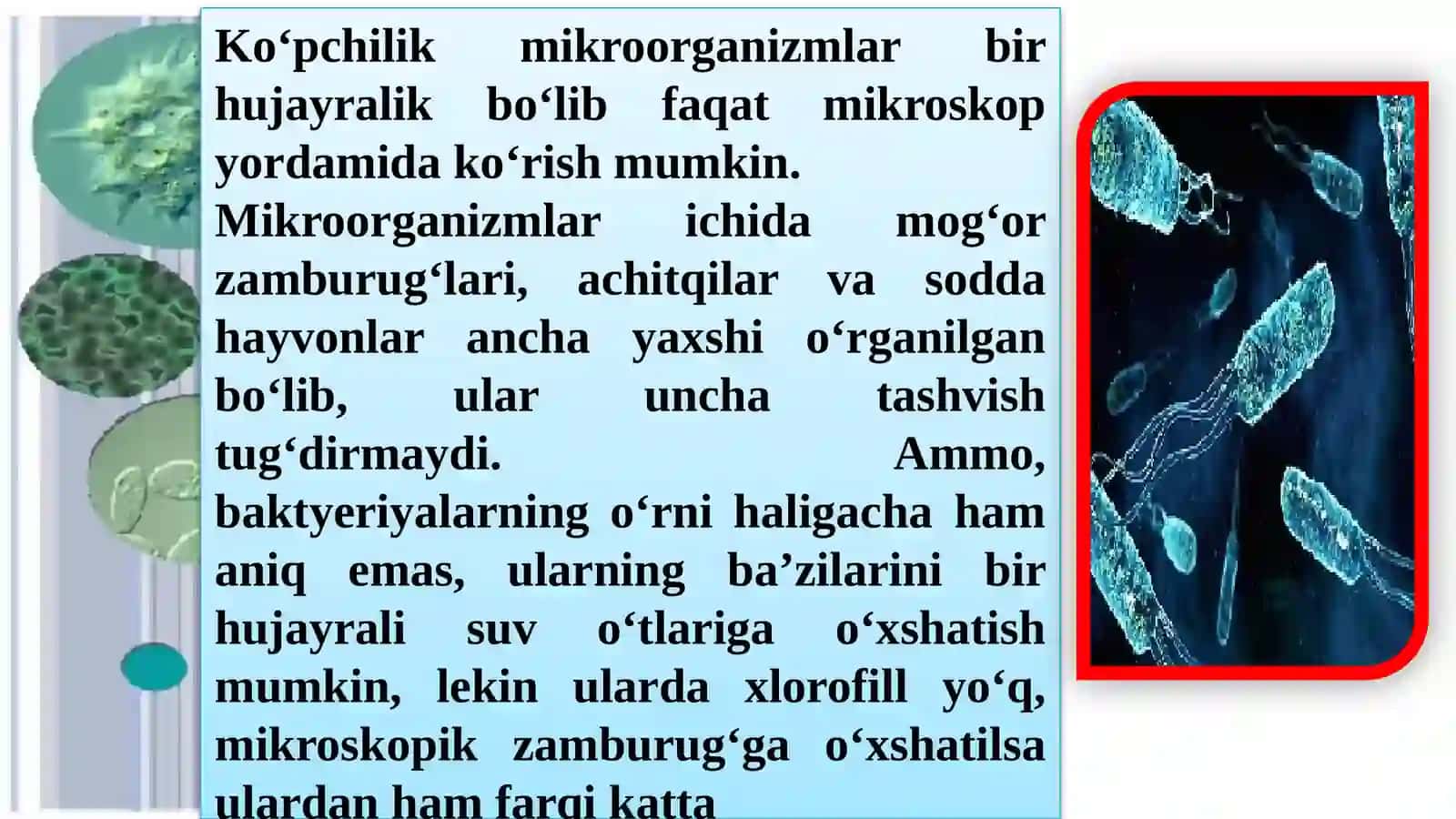 Mikroorganizmlar haqida tushuncha 4