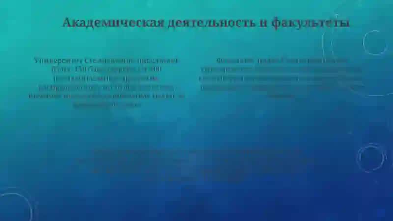 Университет Стелленбоша 4