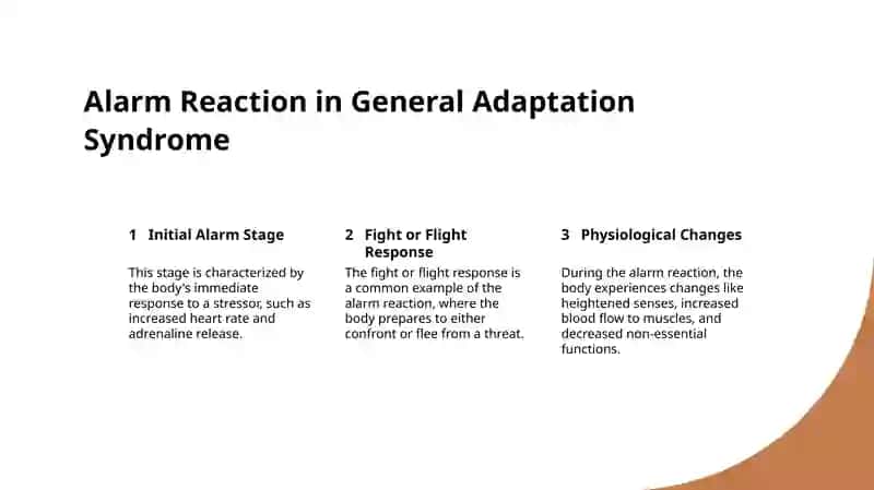 General Adaptation Syndrome 4