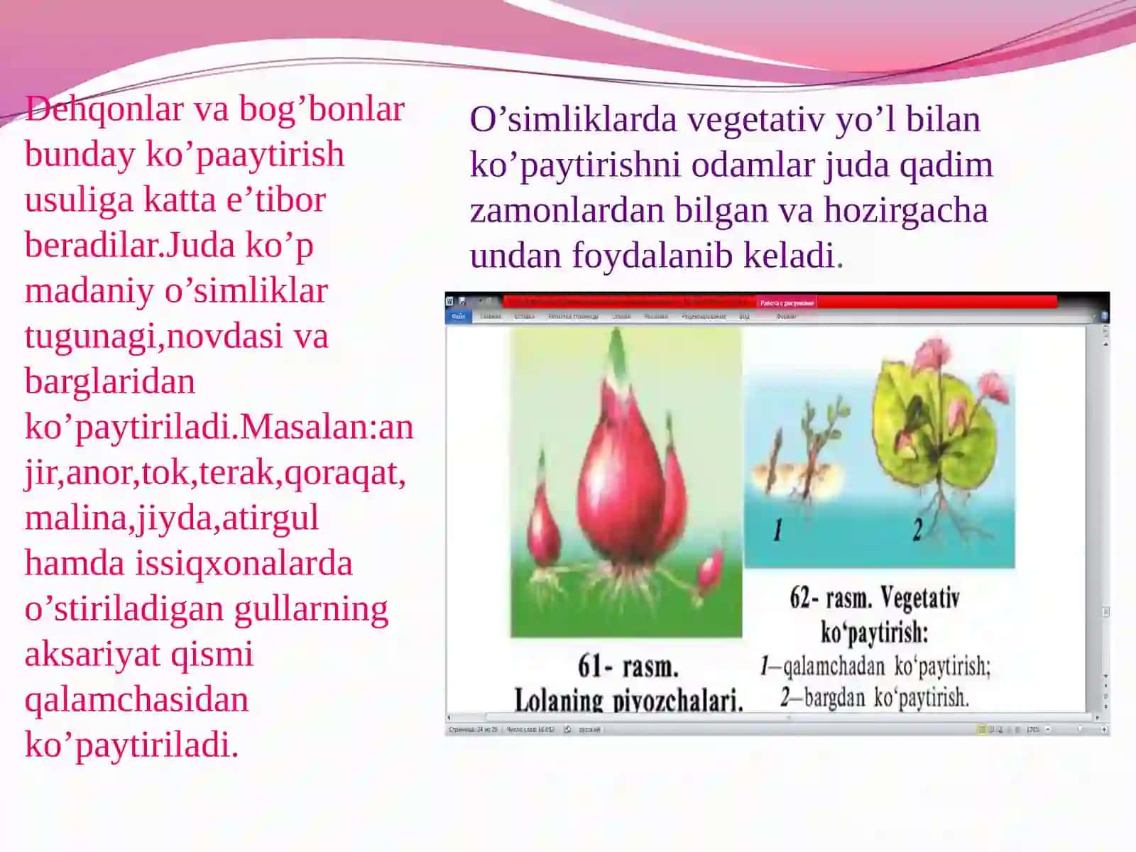 5-sinf Botanika Madaniy o'simliklarning vegetativ ko'payishi 4