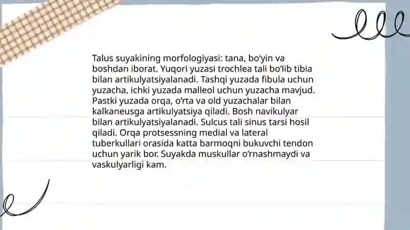 Oyoq suyaklarining tuzilishi va birikishi 4