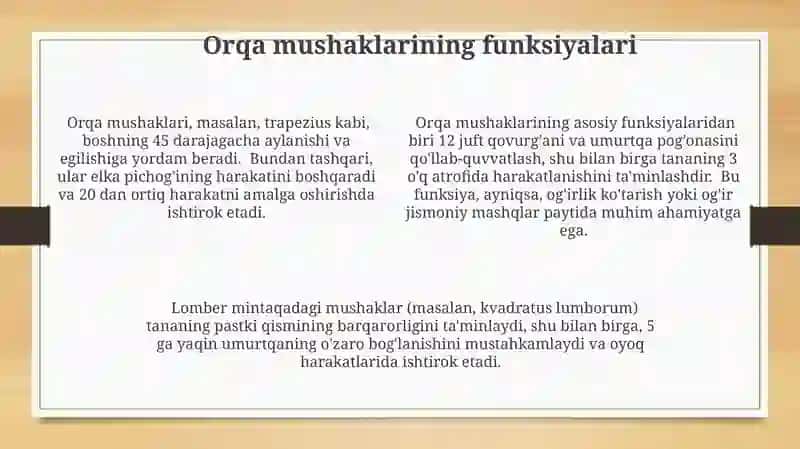 Orqa Mushaklar Guruhi 4