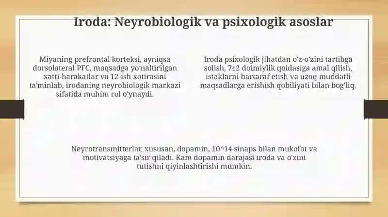 Iroda 4