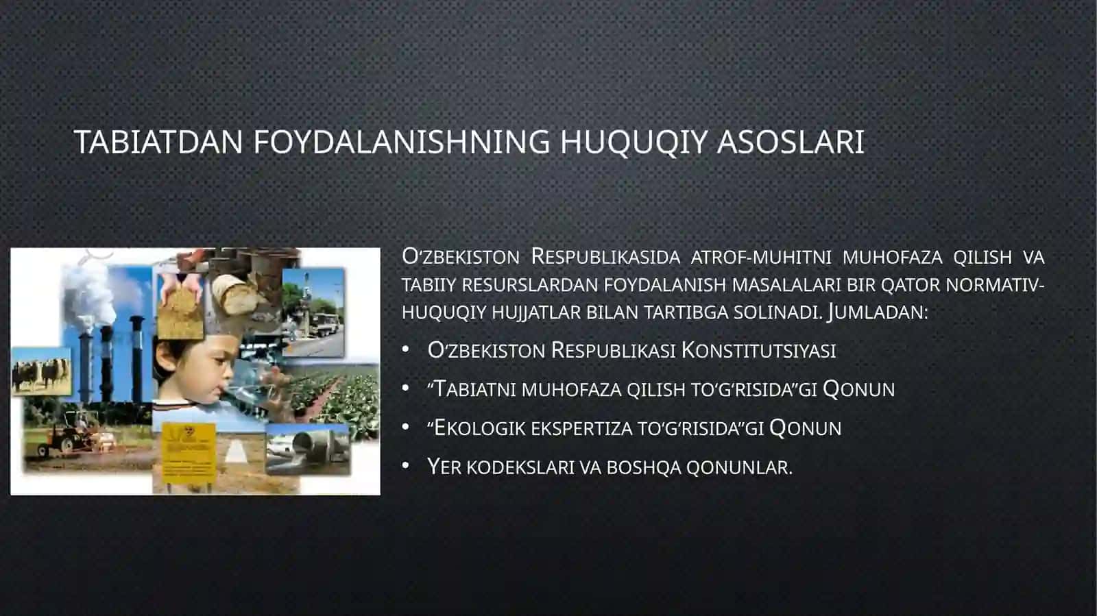 Reja: Atrof-muhitni muhofaza qilish 4