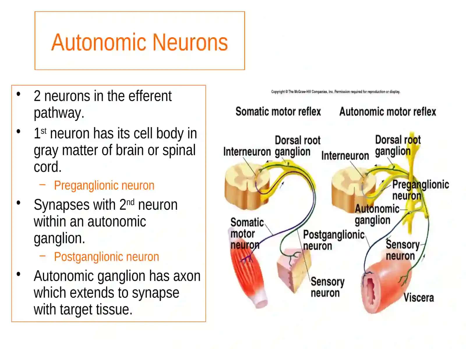 Introduction to Autonomic Pharmacology 4