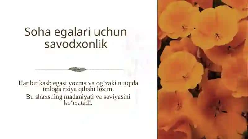O‘zbek tilining imlo qoidalari va soha egalarining savodxonligi. Arizaning yozilish tartibi 4