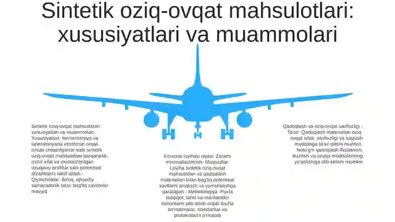 Sintetik Oziq-Ovqat Mahsulotlari Va Qadoqlash O`Rash Materiallari Zarari Ularni Xavfsizlantirish Yo`Llari Korxona Loyihasi 4