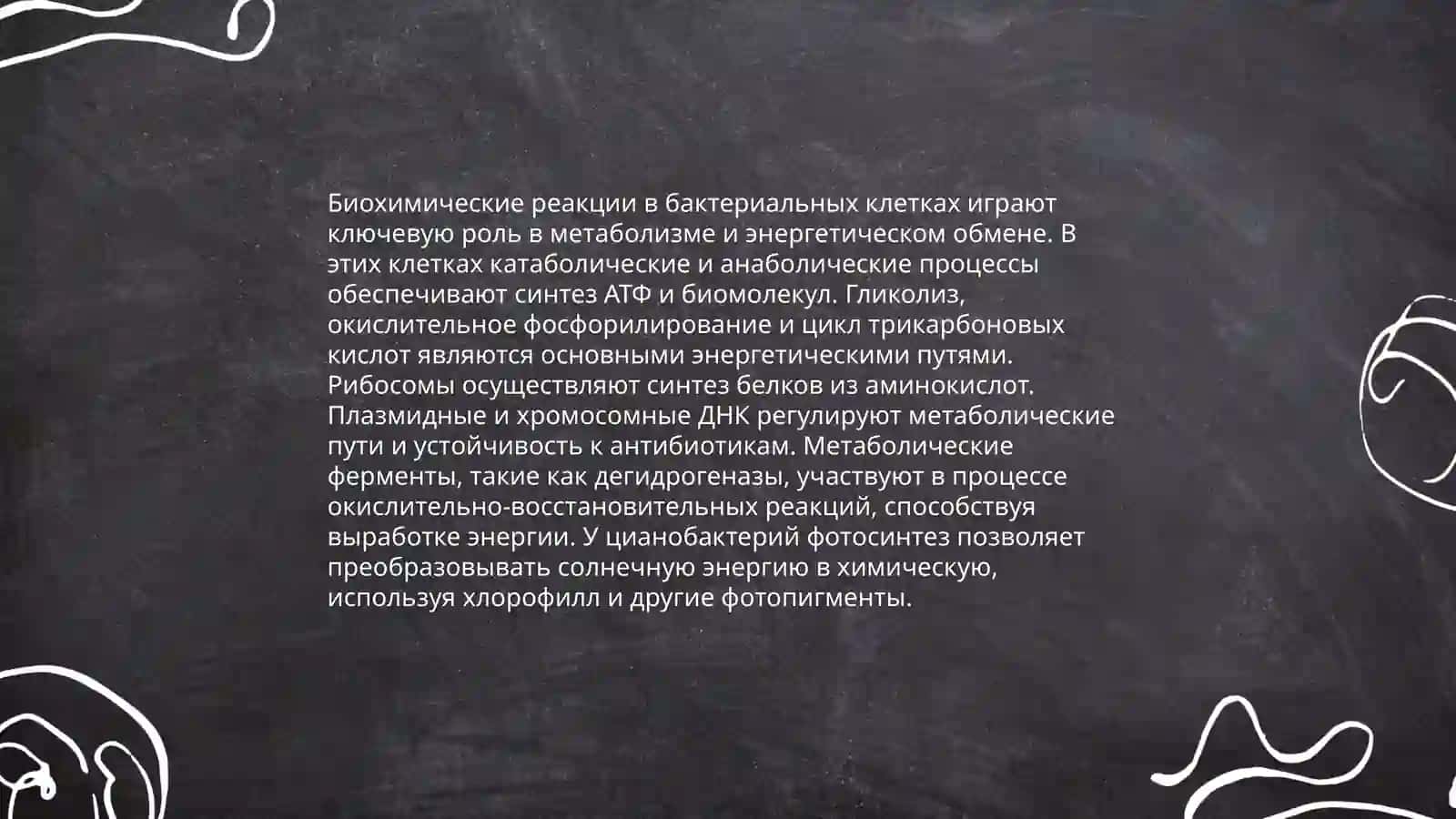 Классификация ферментов у бактерий 4