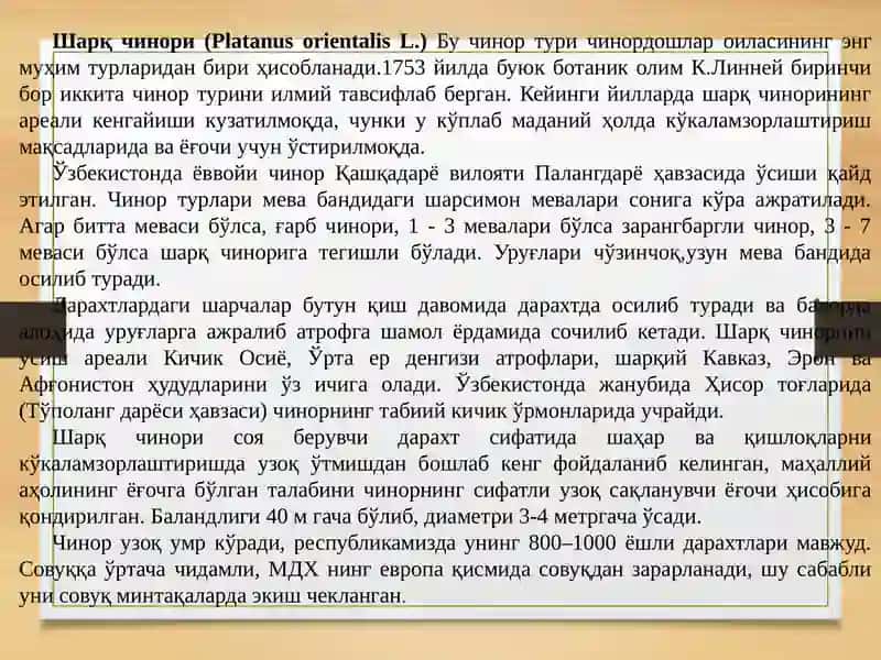 Чинордошлар- PLATANACEAE (платанация) ОИЛАСИ (платановые) 4