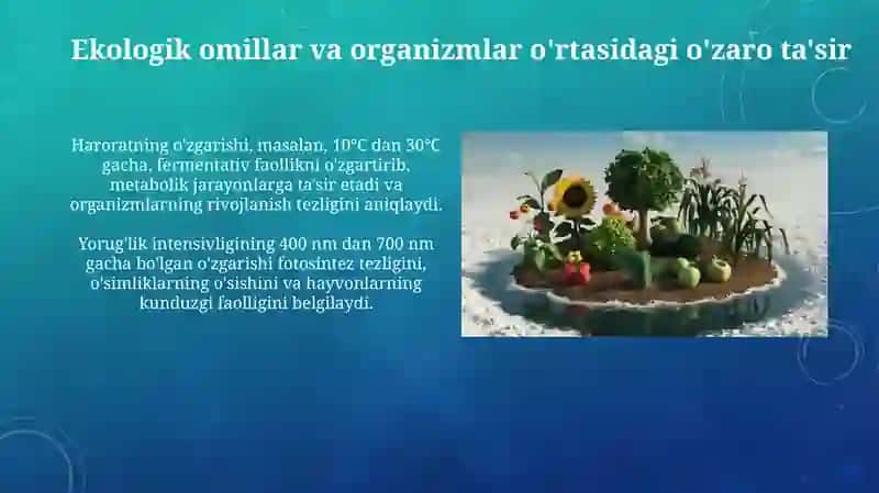 Turli ekologik omillarni tirik organizmlarga taʼsiretishmexanizmi 4